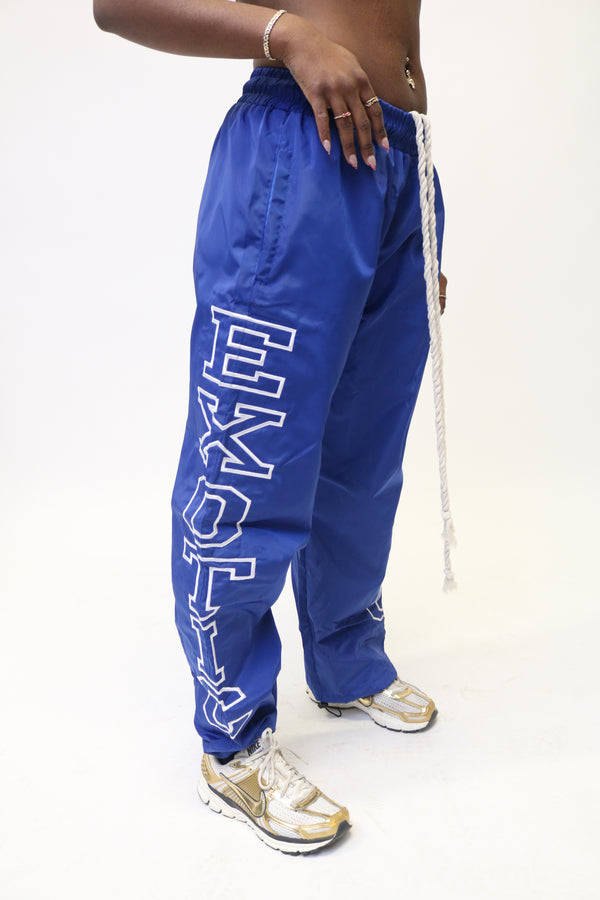 Blueberry Windbreakers