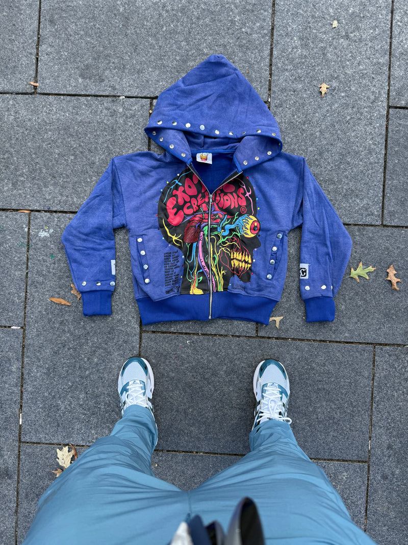 Blueberry Brainiac Zip-up