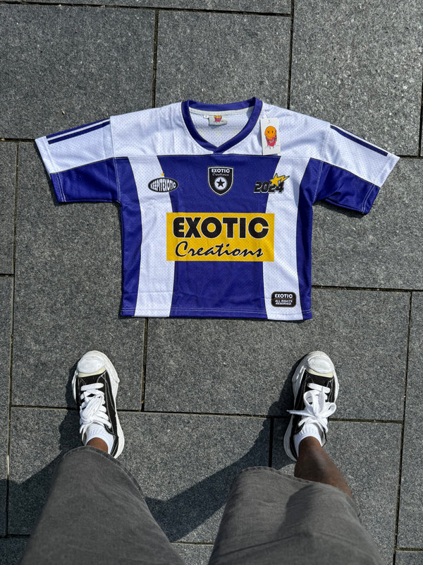Grape Purple Mesh Jersey