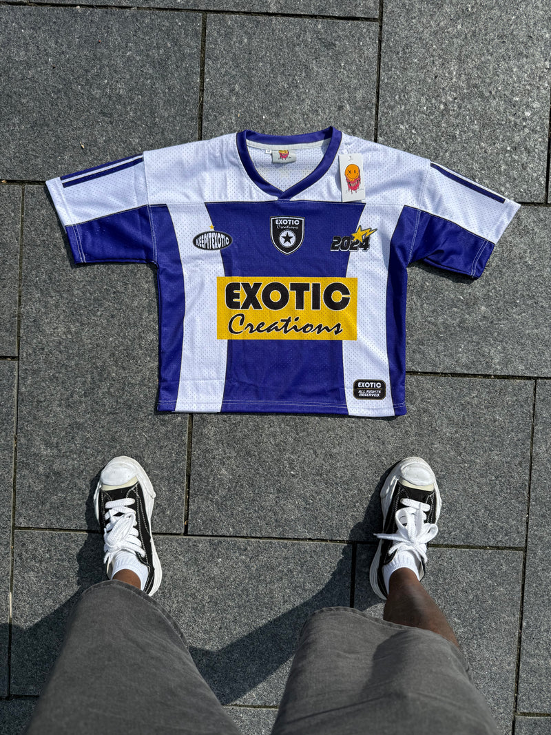 Grape Purple Mesh Jersey