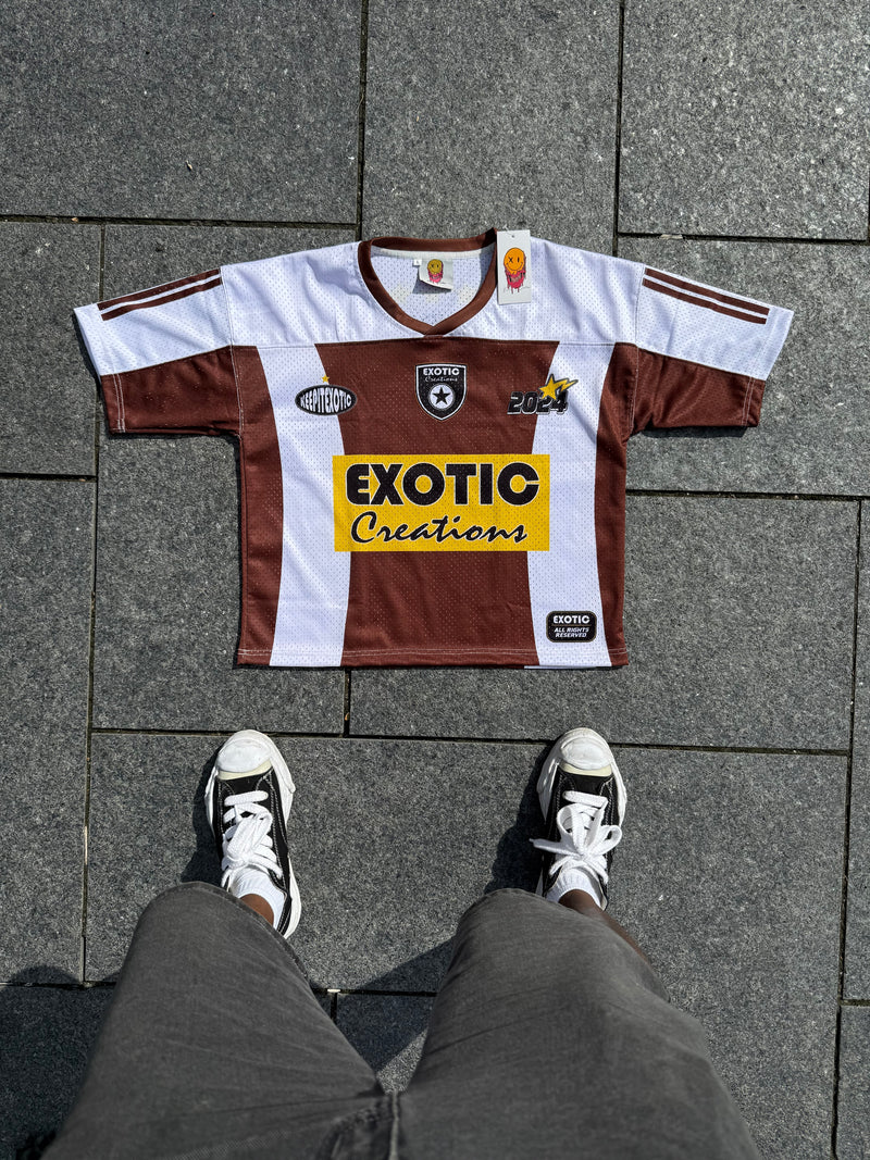 Chocolate Brown Mesh Jersey